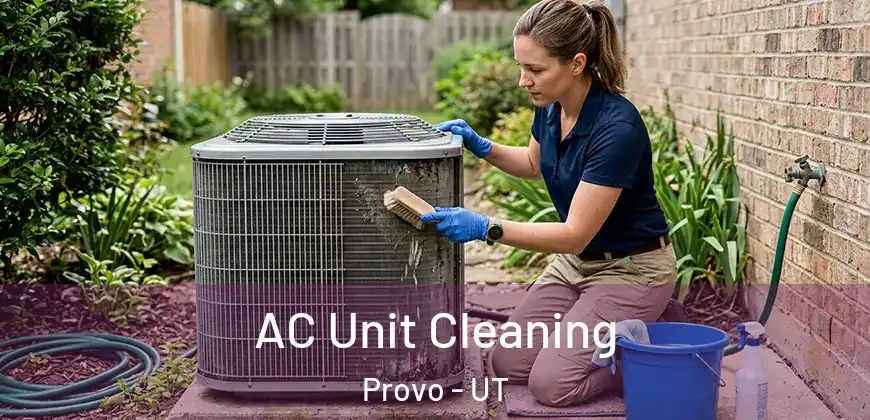 AC Unit Cleaning Provo - UT